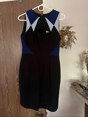 BCBG MaxAzria Karin dress NWT